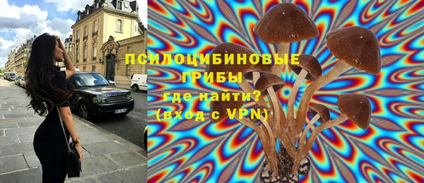 стаф Алексеевка