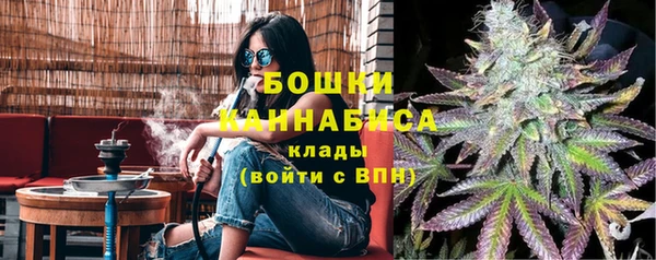индика Абдулино