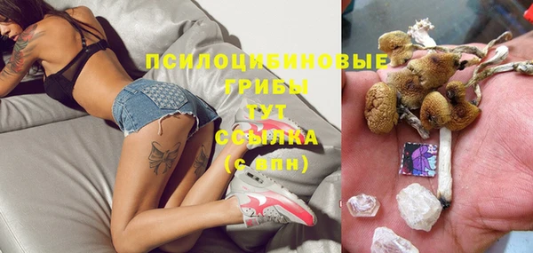 кокс Алзамай