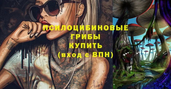 ПСИЛОЦИБИНОВЫЕ ГРИБЫ Абинск