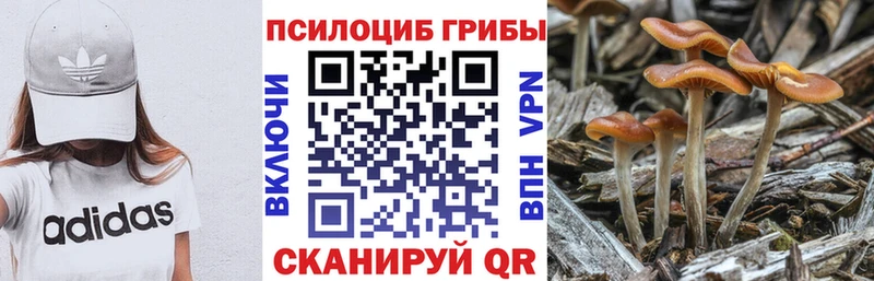 Галлюциногенные грибы ЛСД  гидра маркетплейс  Петров Вал 